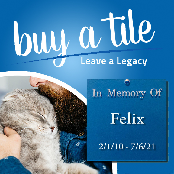 Buy a Tile, Leave a Legacy