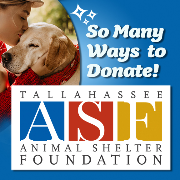 Ways to Donate to ASF