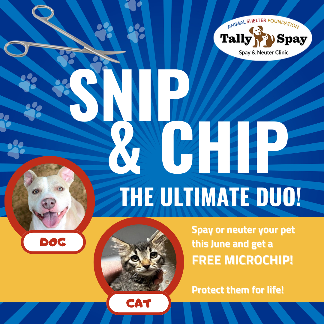 1 Snip & Chip promo