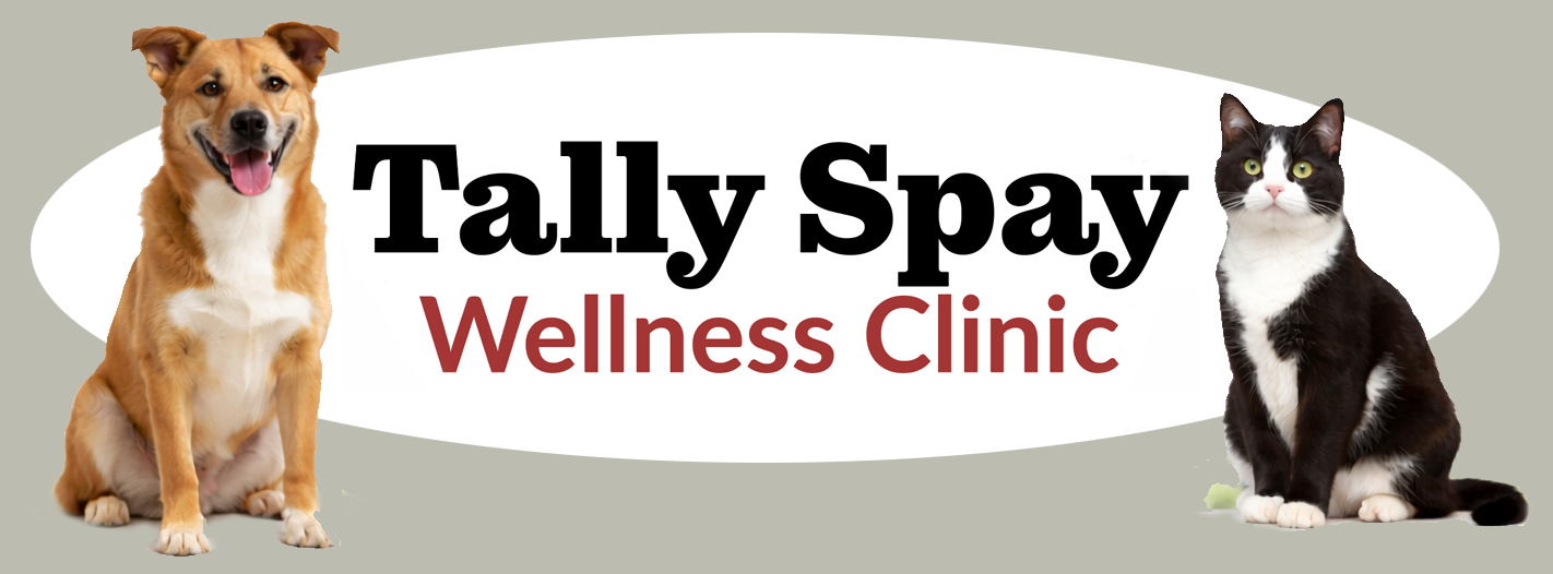 Tally Spay Wellness Clinic