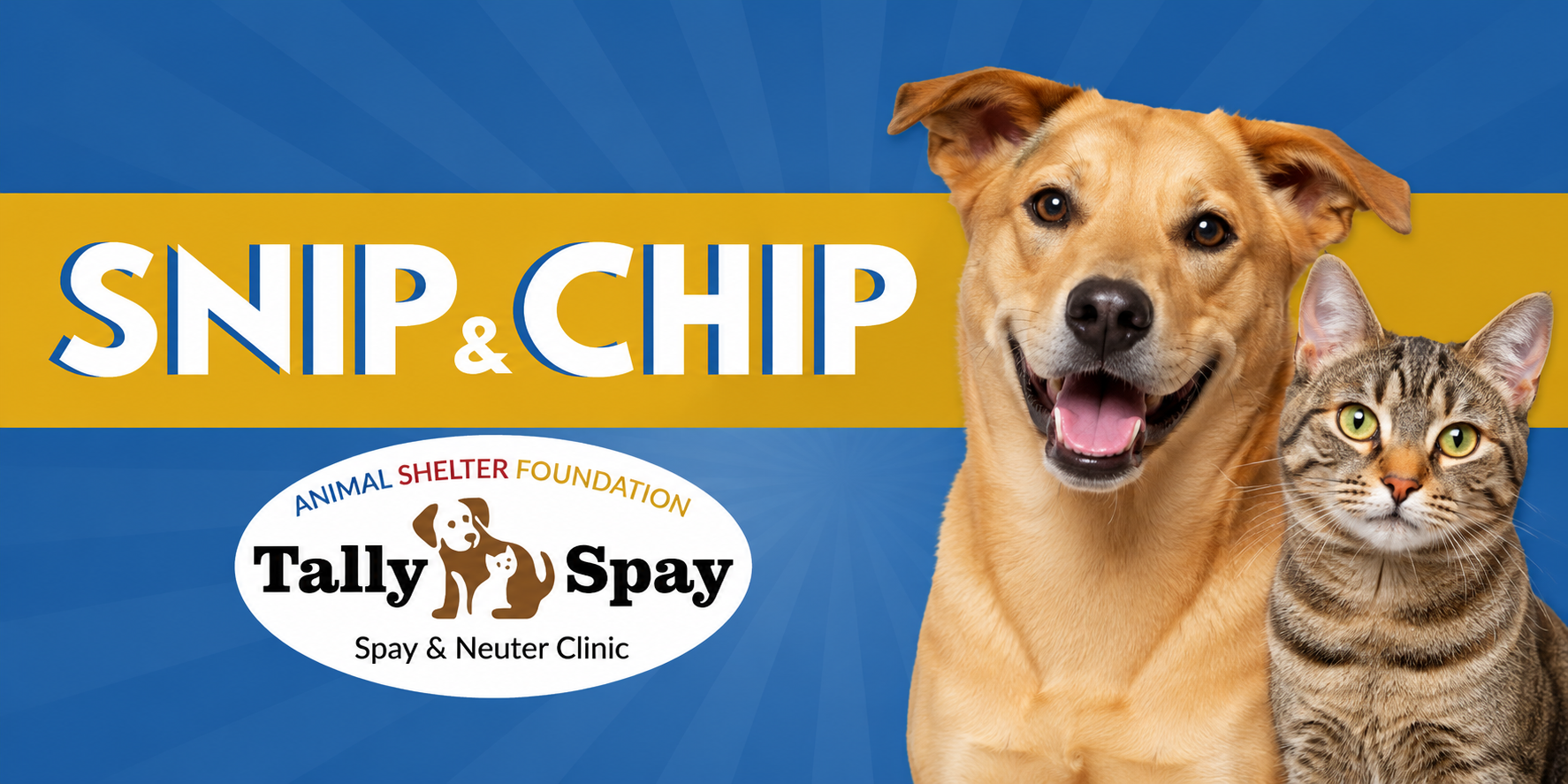 Snip & Chip